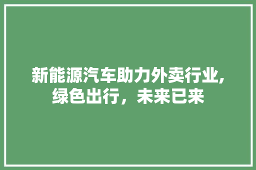 新能源汽车助力外卖行业,绿色出行，未来已来