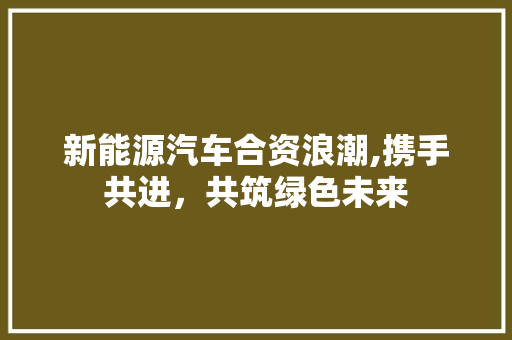 新能源汽车合资浪潮,携手共进，共筑绿色未来