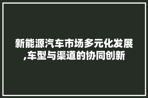 新能源汽车市场多元化发展,车型与渠道的协同创新