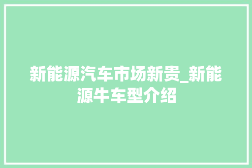 新能源汽车市场新贵_新能源牛车型介绍