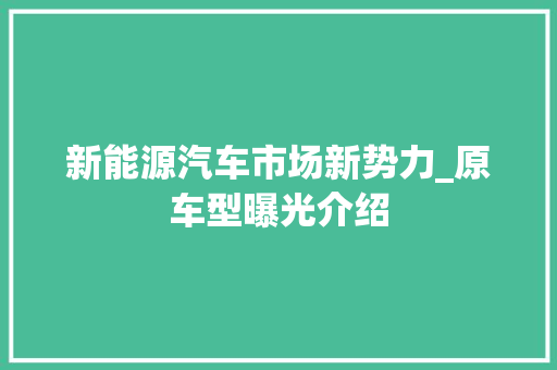 新能源汽车市场新势力_原车型曝光介绍
