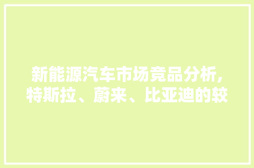 新能源汽车市场竞品分析,特斯拉、蔚来、比亚迪的较量与未来