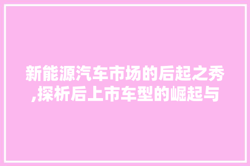 新能源汽车市场的后起之秀,探析后上市车型的崛起与挑战