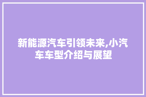 新能源汽车引领未来,小汽车车型介绍与展望