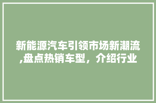 新能源汽车引领市场新潮流,盘点热销车型，介绍行业趋势