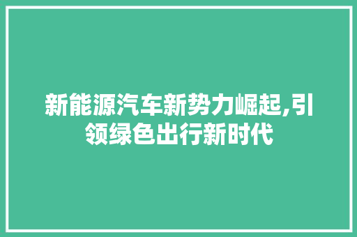 新能源汽车新势力崛起,引领绿色出行新时代