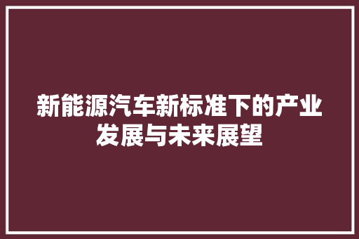 新能源汽车新标准下的产业发展与未来展望
