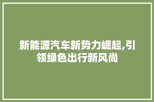 新能源汽车新势力崛起,引领绿色出行新风尚