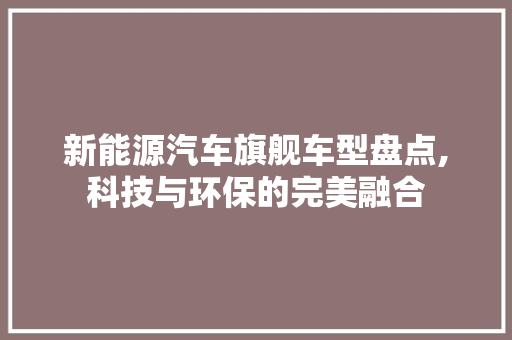 新能源汽车旗舰车型盘点,科技与环保的完美融合