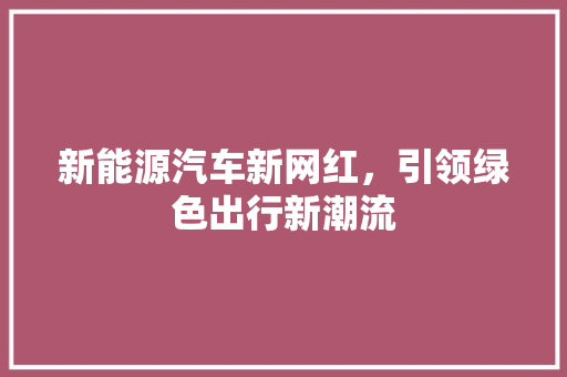 新能源汽车新网红，引领绿色出行新潮流