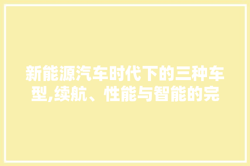 新能源汽车时代下的三种车型,续航、性能与智能的完美融合
