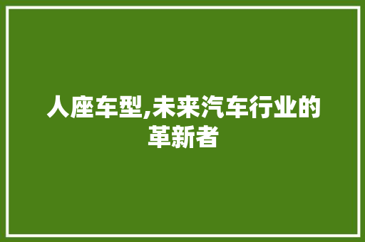 人座车型,未来汽车行业的革新者