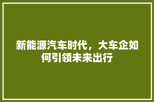 新能源汽车时代，大车企如何引领未来出行