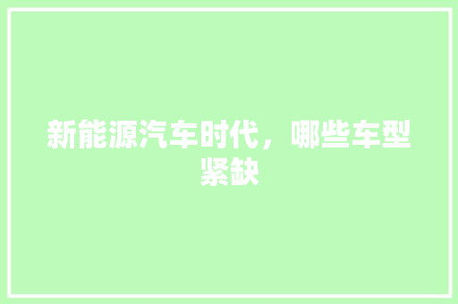 新能源汽车时代，哪些车型紧缺
