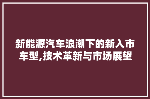 新能源汽车浪潮下的新入市车型,技术革新与市场展望