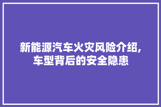 新能源汽车火灾风险介绍,车型背后的安全隐患