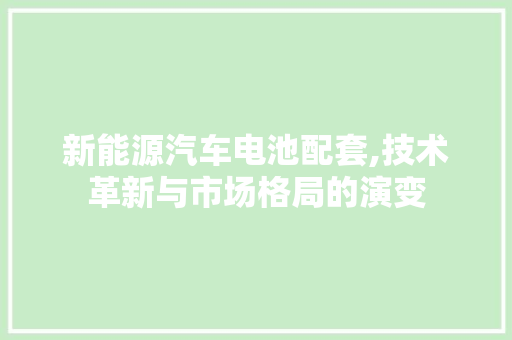新能源汽车电池配套,技术革新与市场格局的演变
