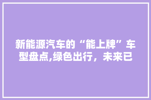 新能源汽车的“能上牌”车型盘点,绿色出行，未来已来