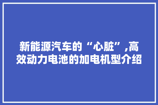 新能源汽车的“心脏”,高效动力电池的加电机型介绍