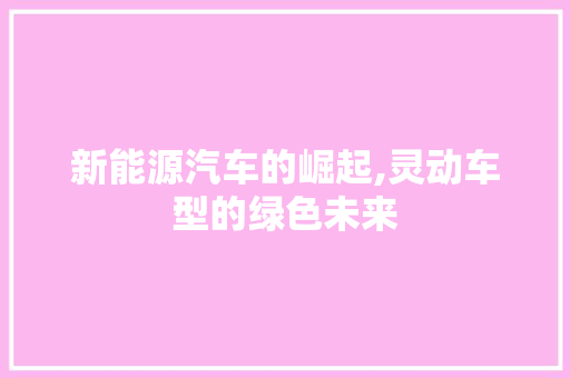 新能源汽车的崛起,灵动车型的绿色未来