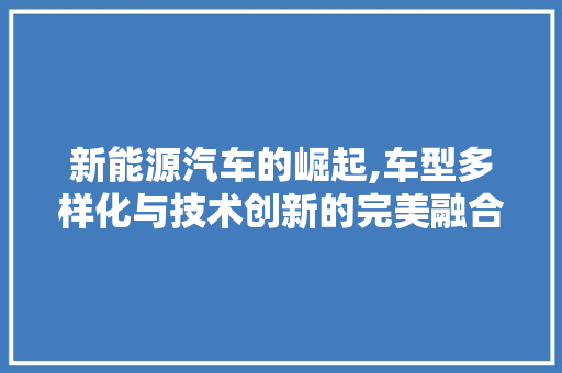 新能源汽车的崛起,车型多样化与技术创新的完美融合