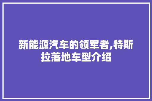 新能源汽车的领军者,特斯拉落地车型介绍