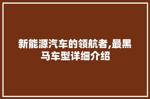 新能源汽车的领航者,最黑马车型详细介绍