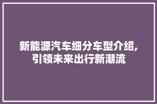 新能源汽车细分车型介绍,引领未来出行新潮流