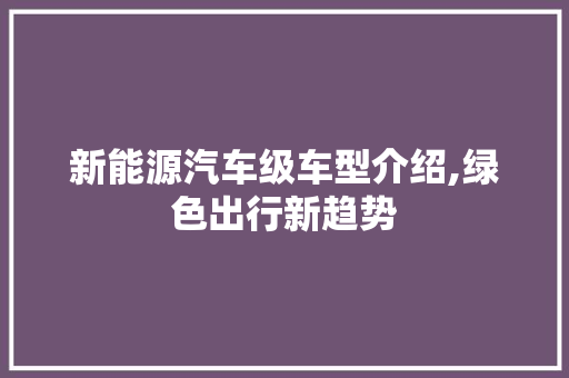 新能源汽车级车型介绍,绿色出行新趋势 底盘配件