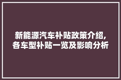 新能源汽车补贴政策介绍,各车型补贴一览及影响分析
