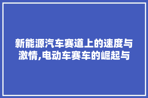 新能源汽车赛道上的速度与激情,电动车赛车的崛起与发展
