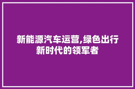 新能源汽车运营,绿色出行新时代的领军者