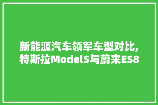 新能源汽车领军车型对比,特斯拉ModelS与蔚来ES8