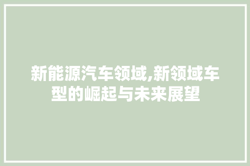 新能源汽车领域,新领域车型的崛起与未来展望