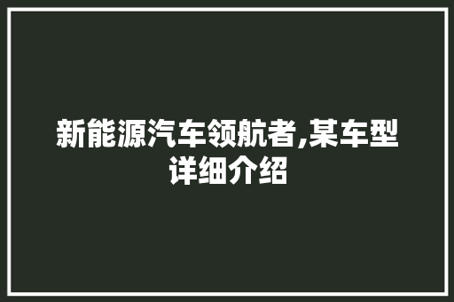 新能源汽车领航者,某车型详细介绍