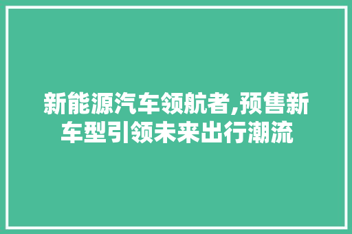 新能源汽车领航者,预售新车型引领未来出行潮流