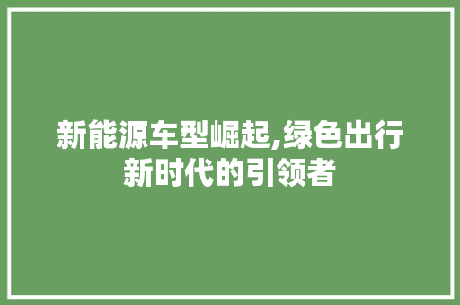 新能源车型崛起,绿色出行新时代的引领者