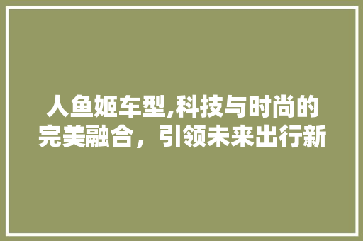人鱼姬车型,科技与时尚的完美融合，引领未来出行新潮流