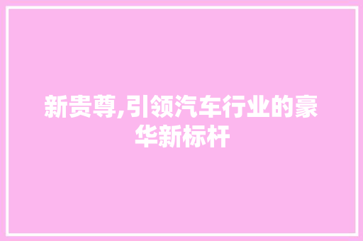 新贵尊,引领汽车行业的豪华新标杆