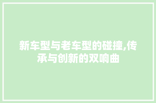 新车型与老车型的碰撞,传承与创新的双响曲