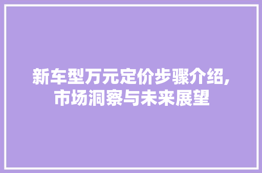 新车型万元定价步骤介绍,市场洞察与未来展望