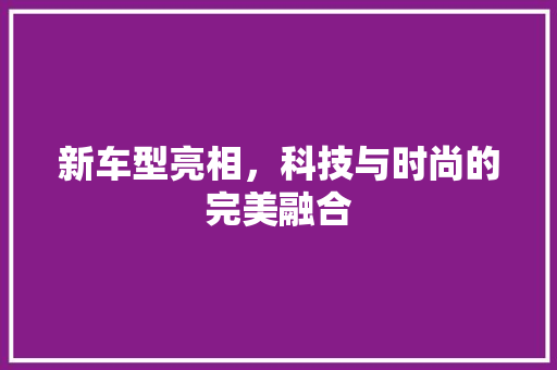 新车型亮相，科技与时尚的完美融合