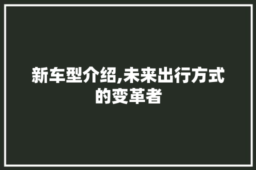 新车型介绍,未来出行方式的变革者