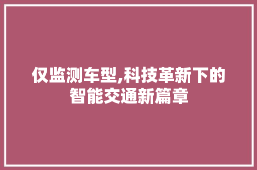 仅监测车型,科技革新下的智能交通新篇章