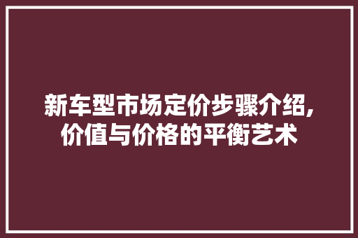 新车型市场定价步骤介绍,价值与价格的平衡艺术