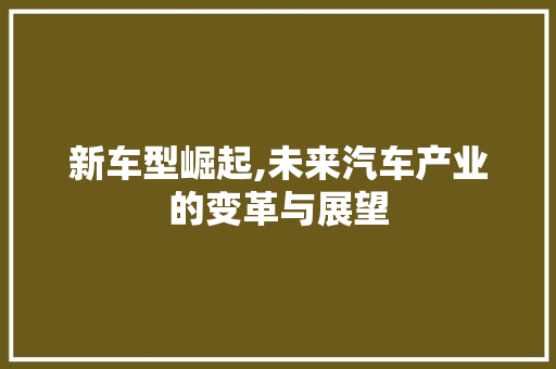 新车型崛起,未来汽车产业的变革与展望