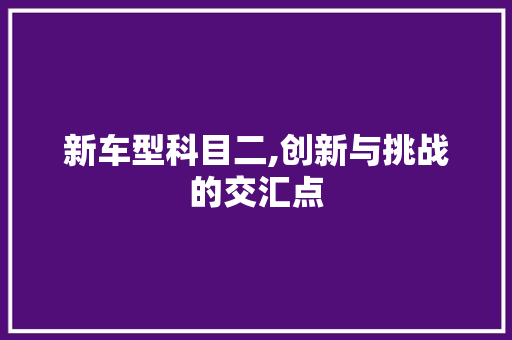 新车型科目二,创新与挑战的交汇点