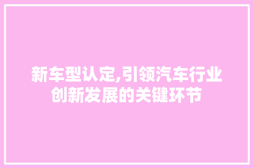 新车型认定,引领汽车行业创新发展的关键环节