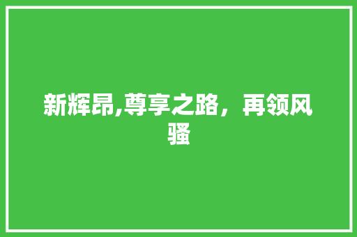 新辉昂,尊享之路，再领风骚