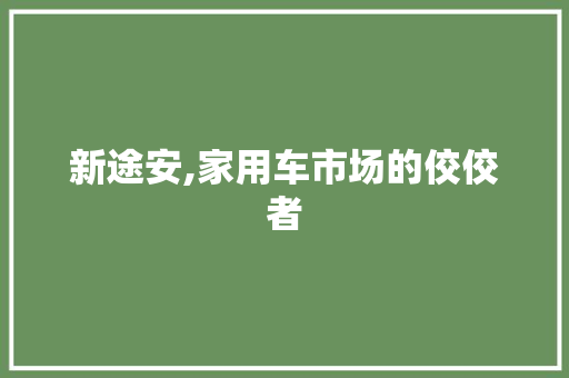 新途安,家用车市场的佼佼者